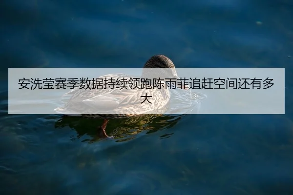 安洗莹赛季数据持续领跑陈雨菲追赶空间还有多大